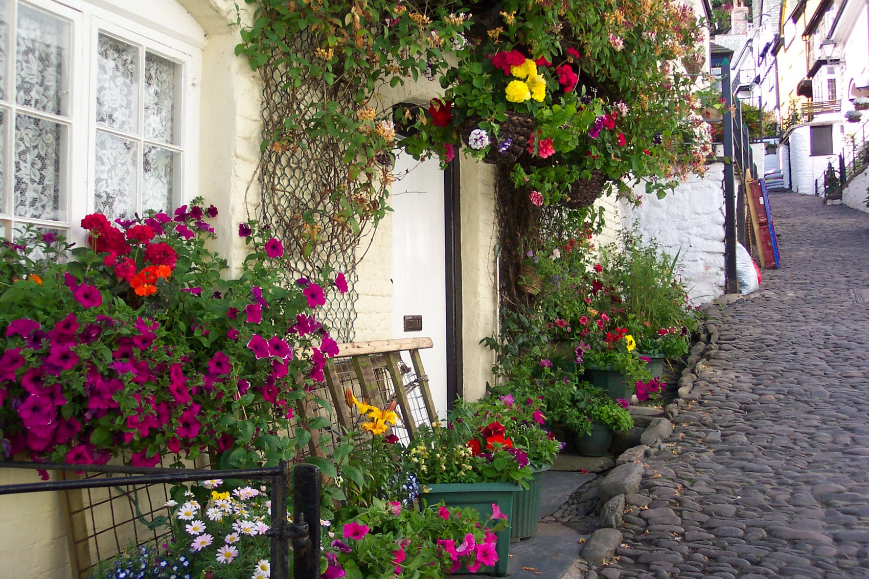 Clovelly wins South West in Bloom gold award!