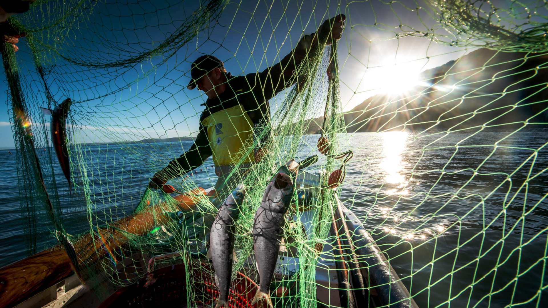 Clovelly Herring Festival