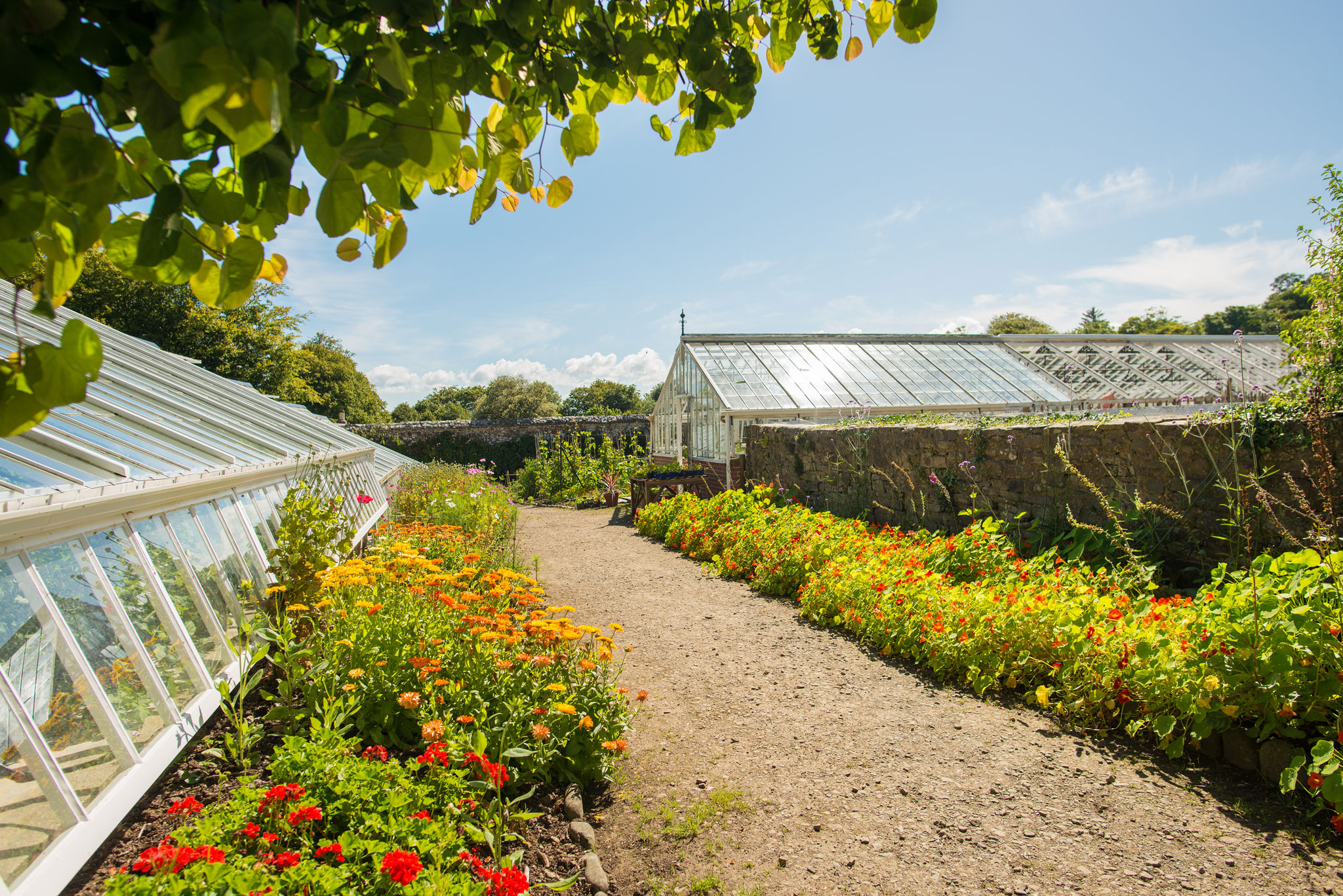 Clovelly Court Gardens featured in this month’s Devon Life Magazine