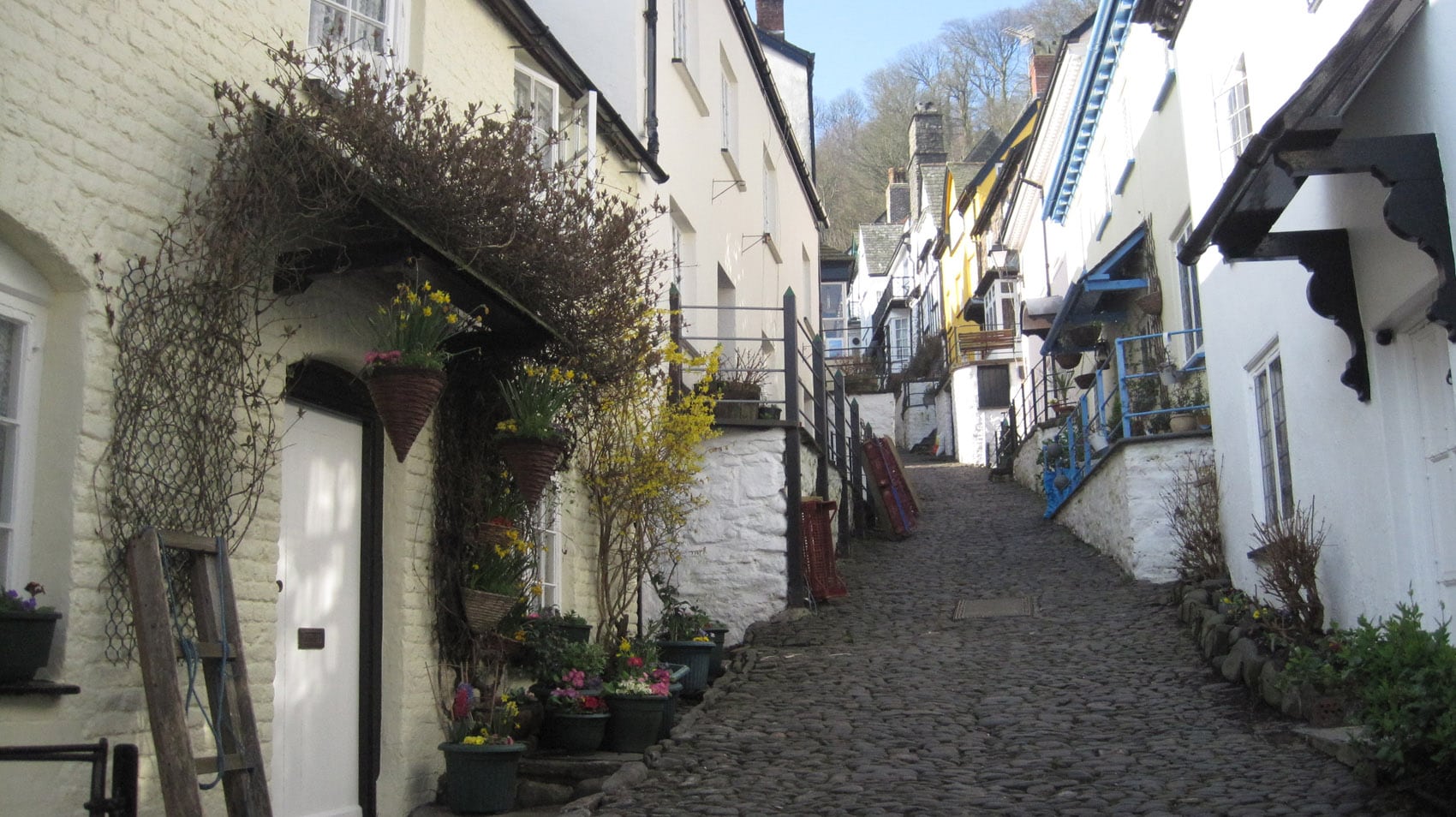 A Pawfect Weekend in Clovelly by Kate Taylors blog “dotty4paws”