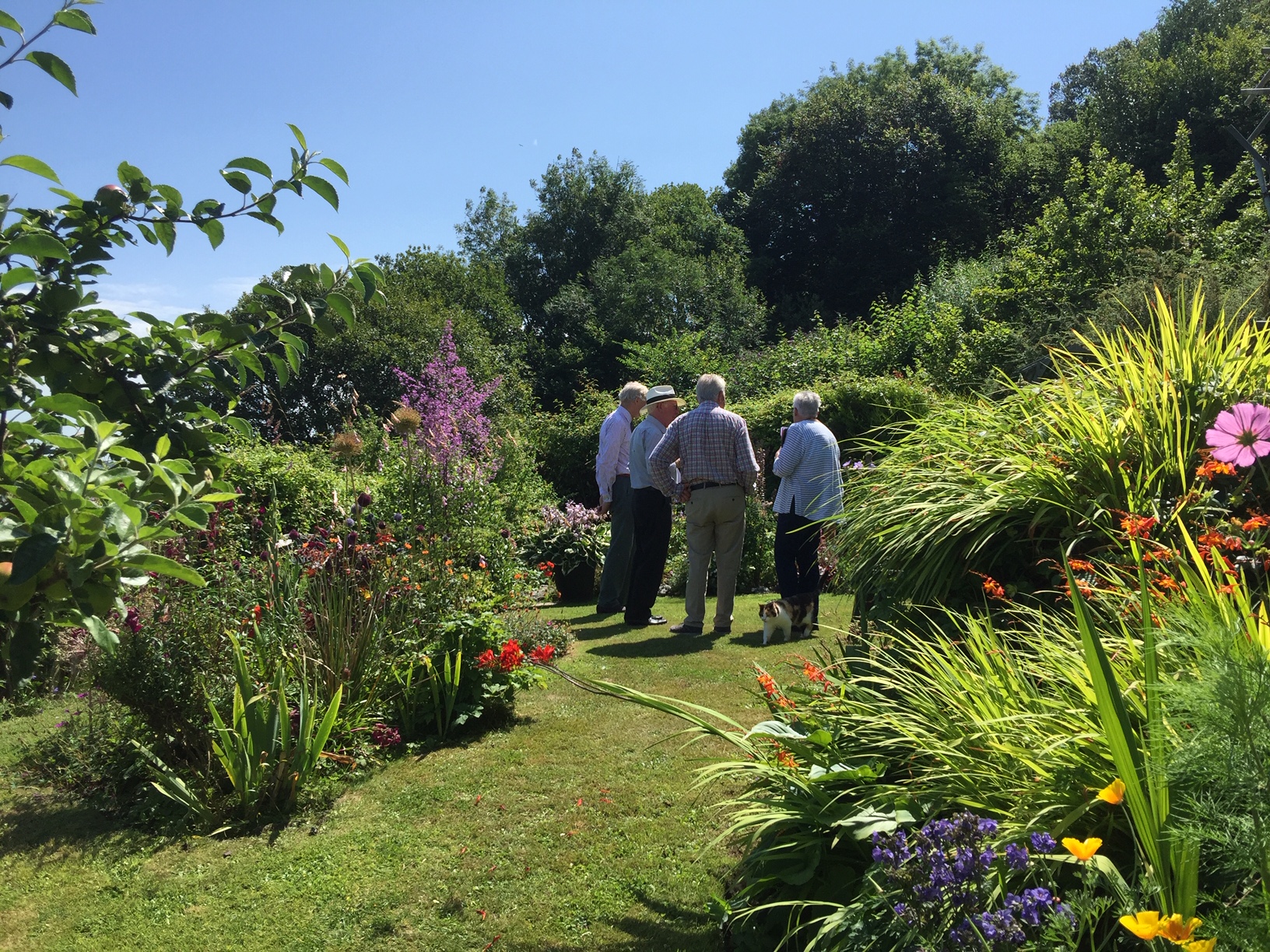 Judging for 2019 SW National Britain in Bloom competition, 23 July. Ellie Jarvis