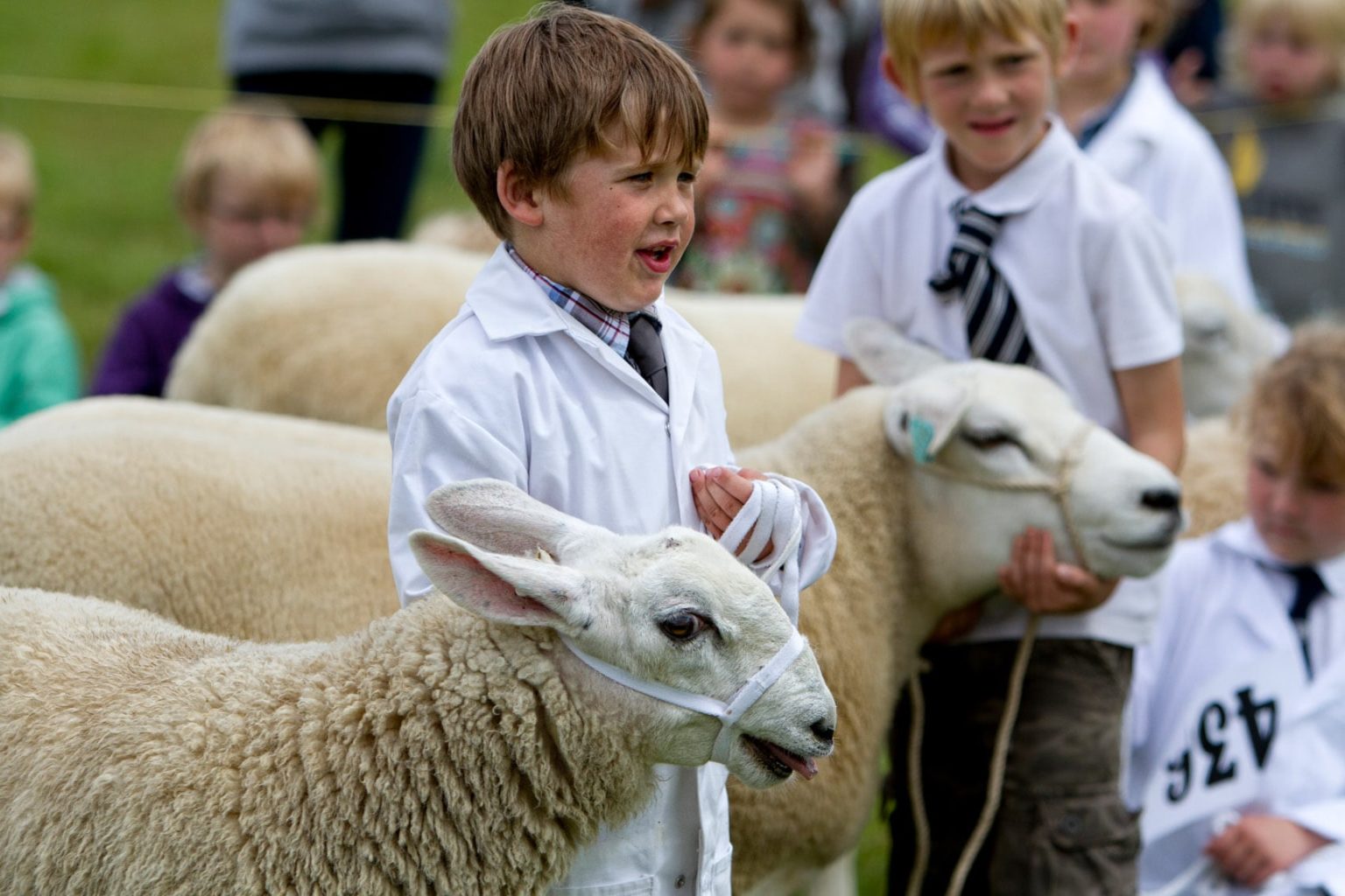 The story behind Clovelly’s Woolsery Show – The Cornish and Devon Post