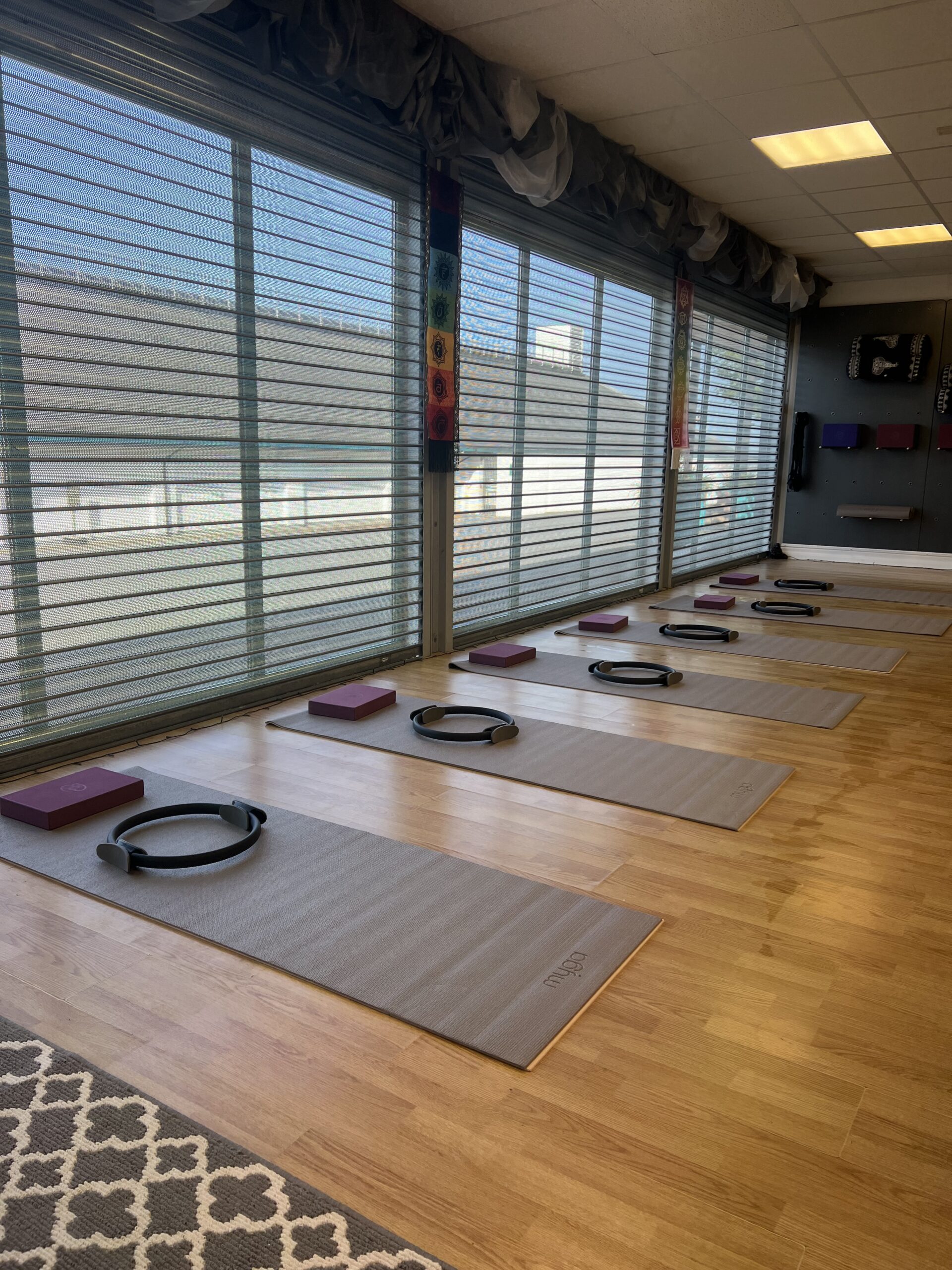 yoga mats with pilates equipment in a yoga studio with wooden floors